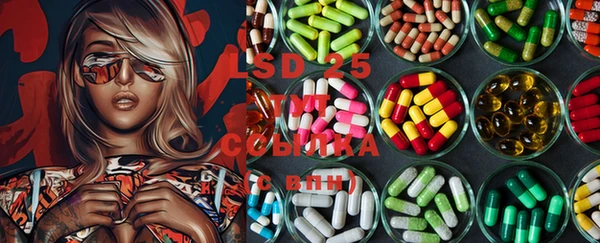 spice Абаза