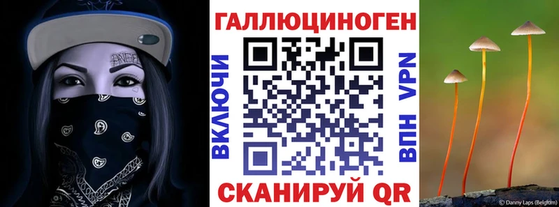 где купить наркотик  Азнакаево  Псилоцибиновые грибы Magic Shrooms 